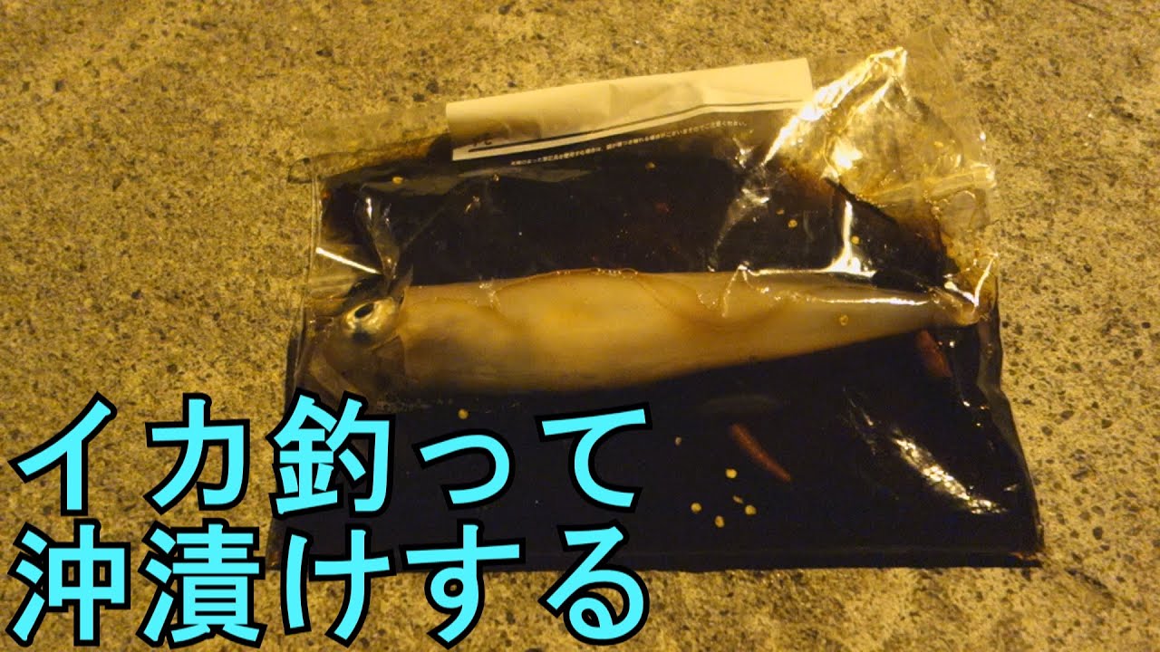 「イカ釣って沖漬け食べるぞ」 in 八丈島