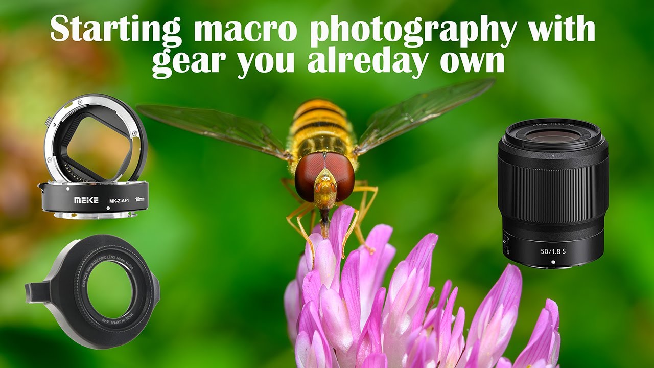 Starting macro photography with the gear you own and the Raynox DCR-250 or the Meike Extension Tube