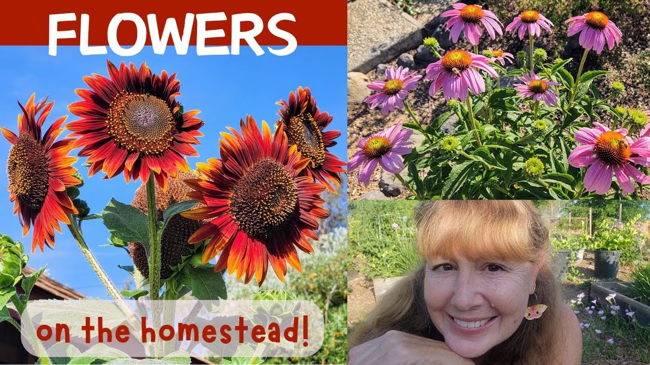 Perennial & Self-Seeding Flowers - Grow EASY Flowers! They'll Make You & the Bees HAPPY!
