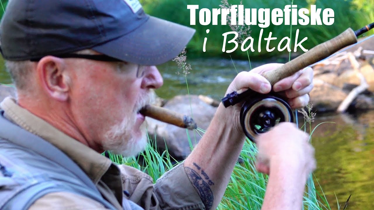 Torrflugefiske i Baltak