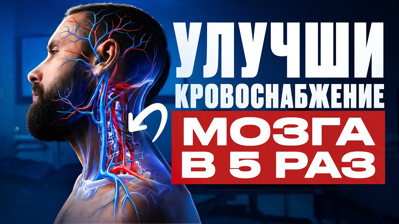 Улучшил кровоснабжение мозга – 2 секретные точки!