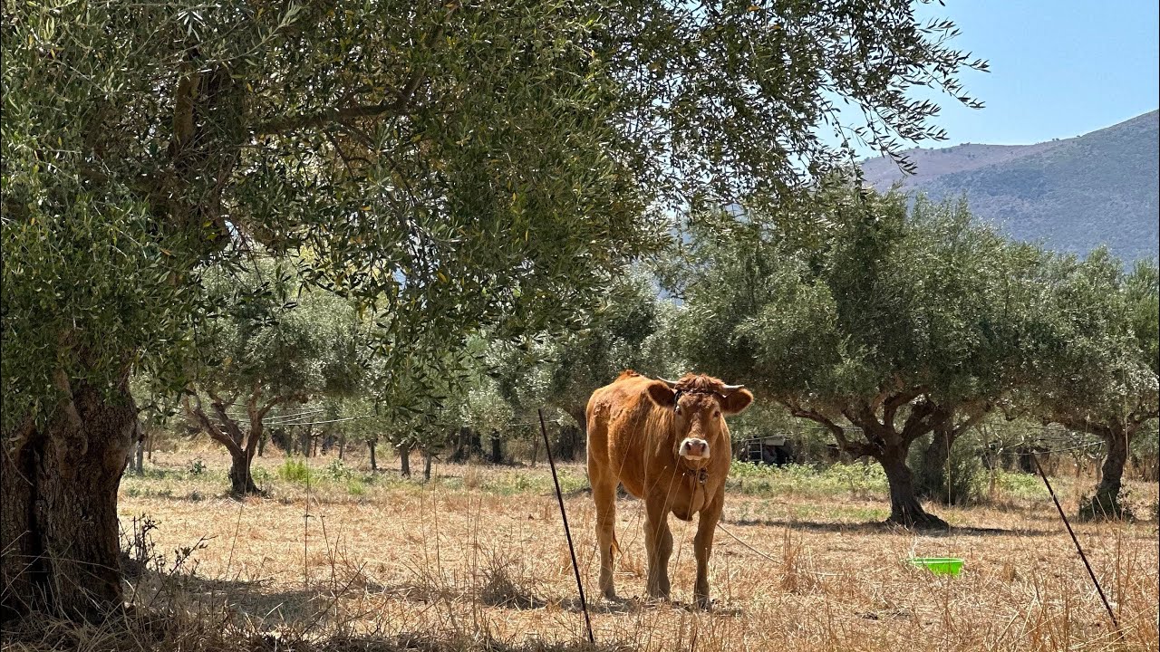 Amazing roadtrip in Mani Peninsula of Peloponnese