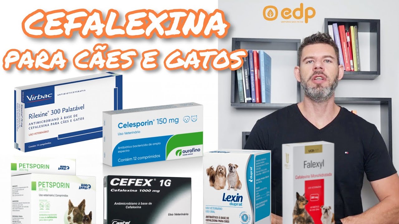 138 | ANTIBIÓTICO PARA FERIDAS E INFECÇÕES NA PELE DE CACHORRO E GATO COM ALERGIA