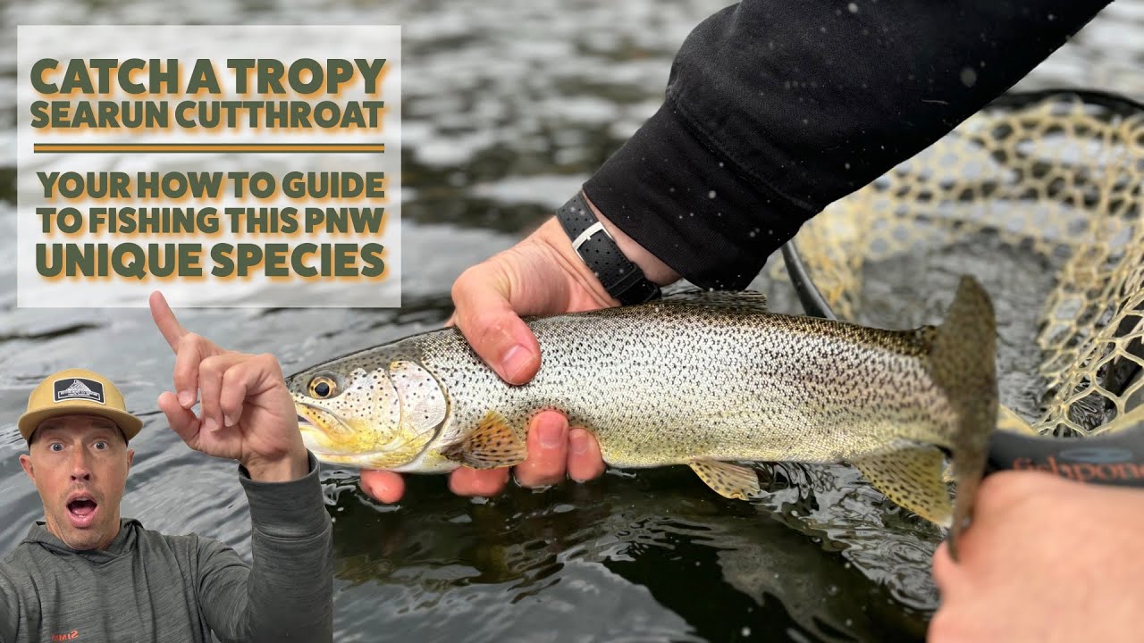 Поймать трофейную форель Searun Cutthroat Trout в Тихом океане: Эпизод 1 — Эстуарии