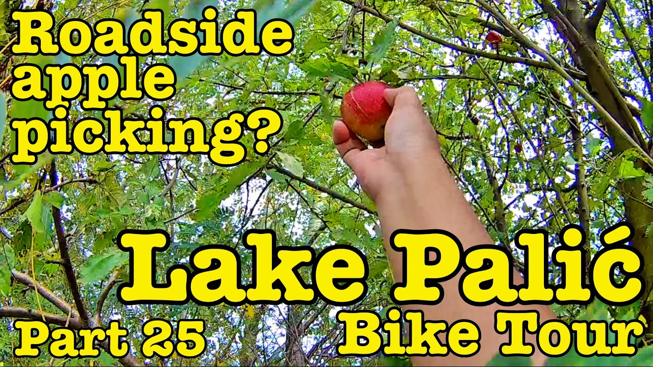 Lake Palić Bike Tour | Sorry about the apples!
