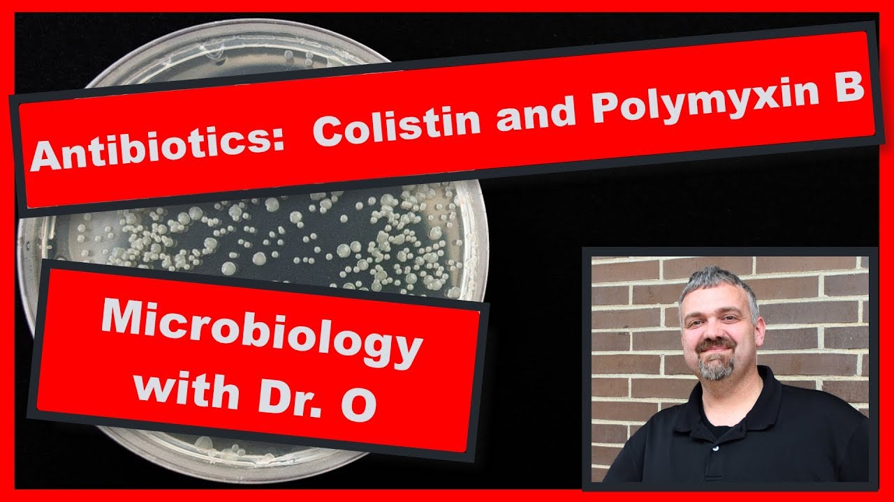Colistin and Polymyxin B:  Microbiology
