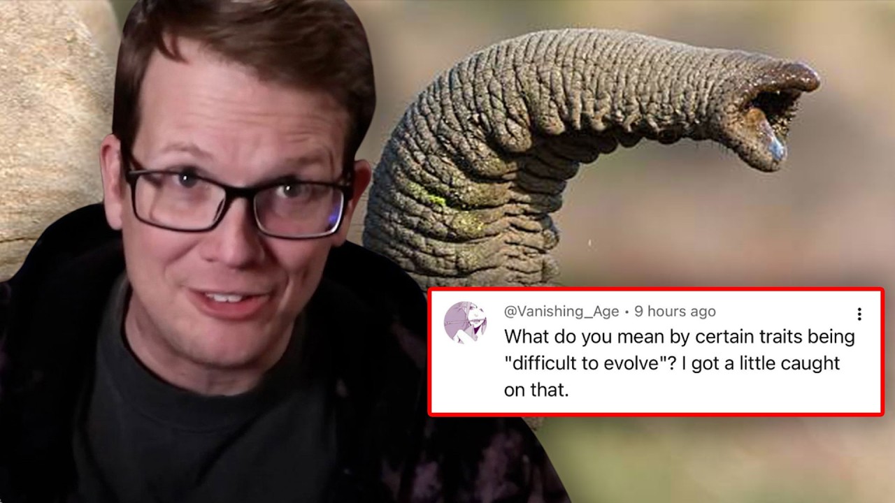 Answering Your Dumb Fish Questions
