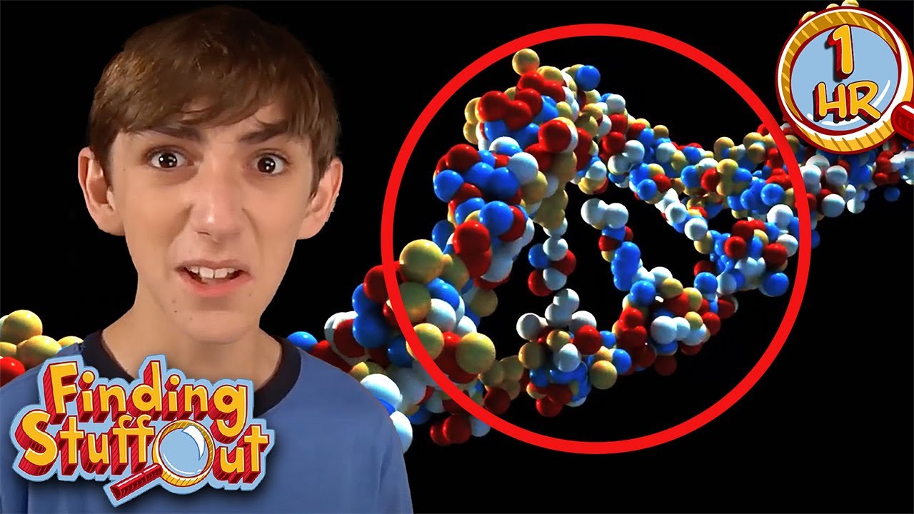 Exploring Forensic Science And Beyond | Full Episodes | Finding Stuff Out | Scholastic After School