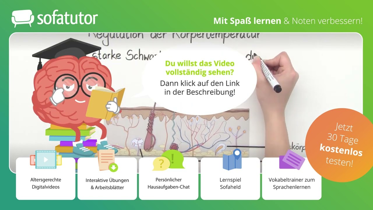 Die Haut – ein Sinnesorgan einfach erklärt – Biologie