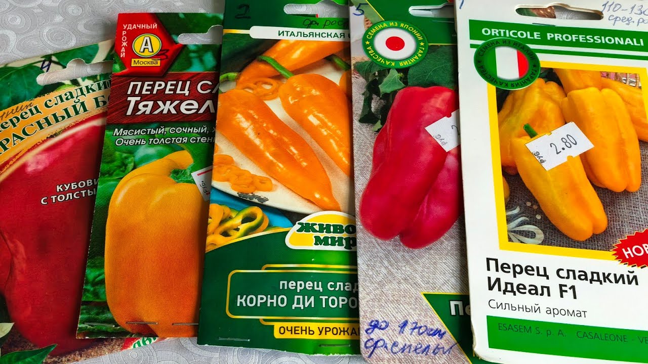 Высокорослый перец. Рассада томатов- гномов и лилейников. 25 февраля 2026 год.