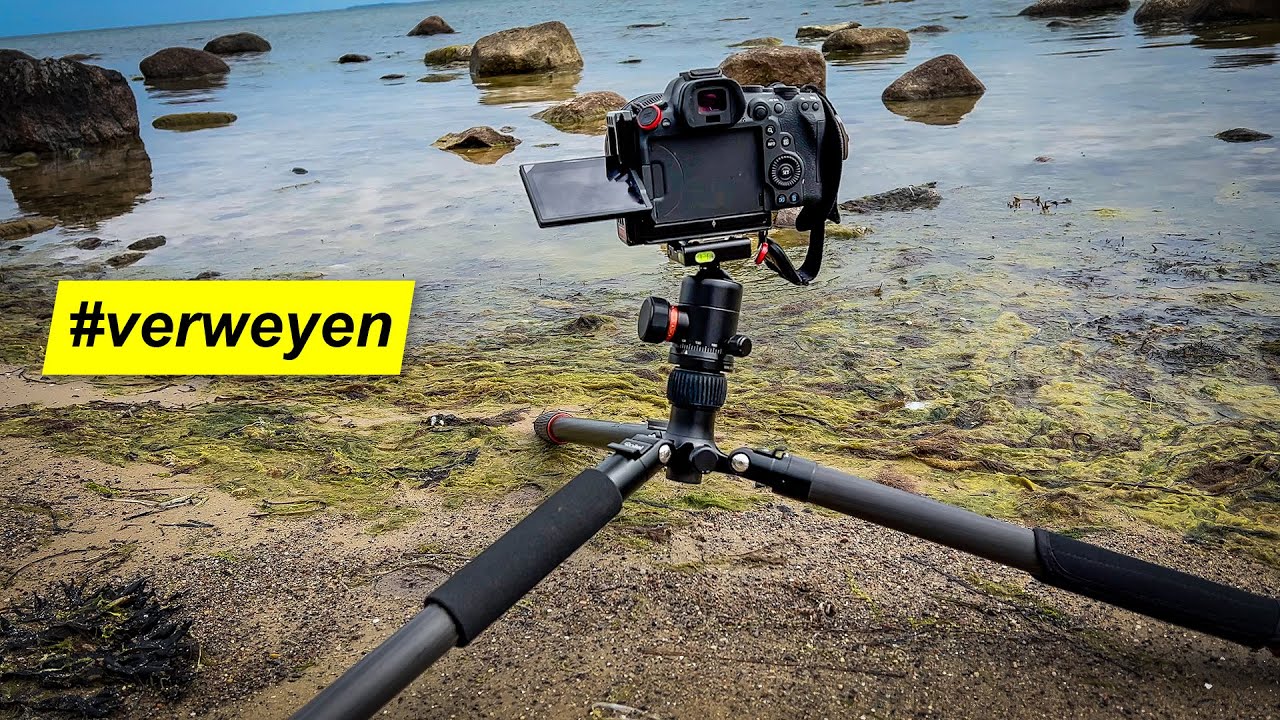 Mit Rollei C6i/C5i bodennah fotografieren ohne Kopfstand