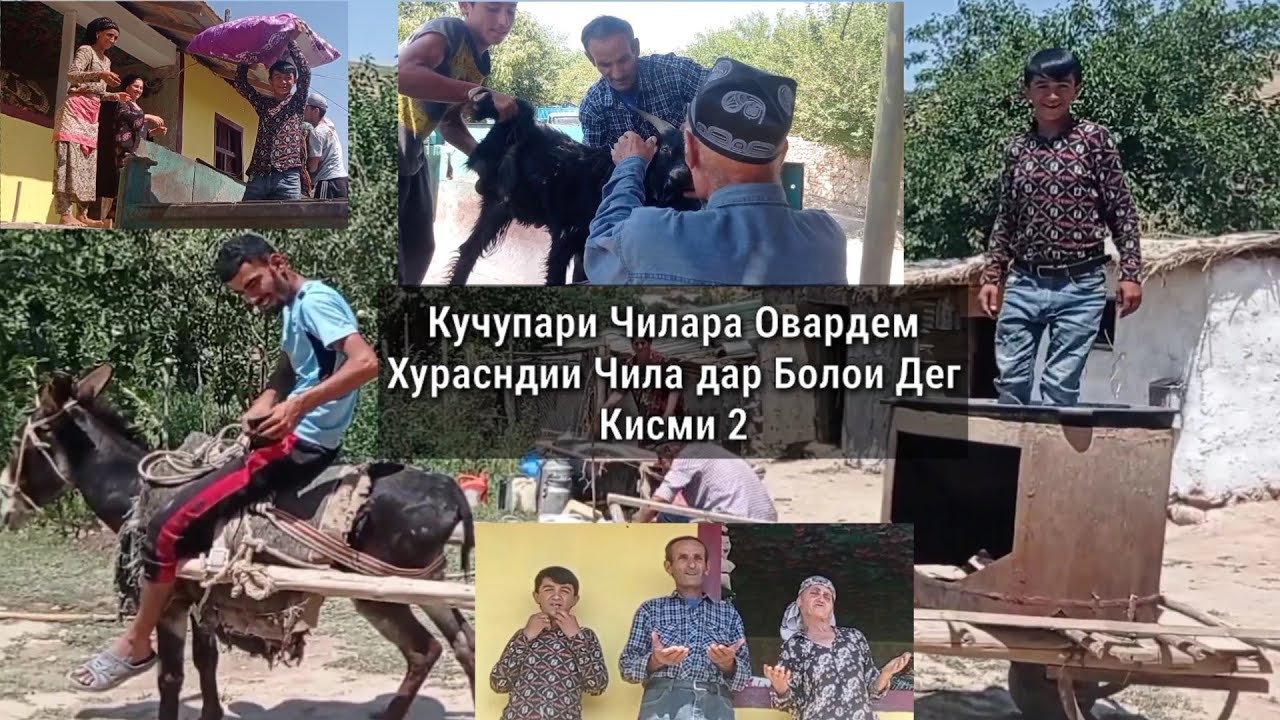 Кучу пари Чилара овардем Хурсанди Чила дар болои деги ош.Модари Чила хамаи Гарибора дуо дод