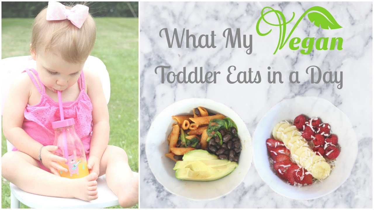 What My Vegan Toddler Eats in a Day
