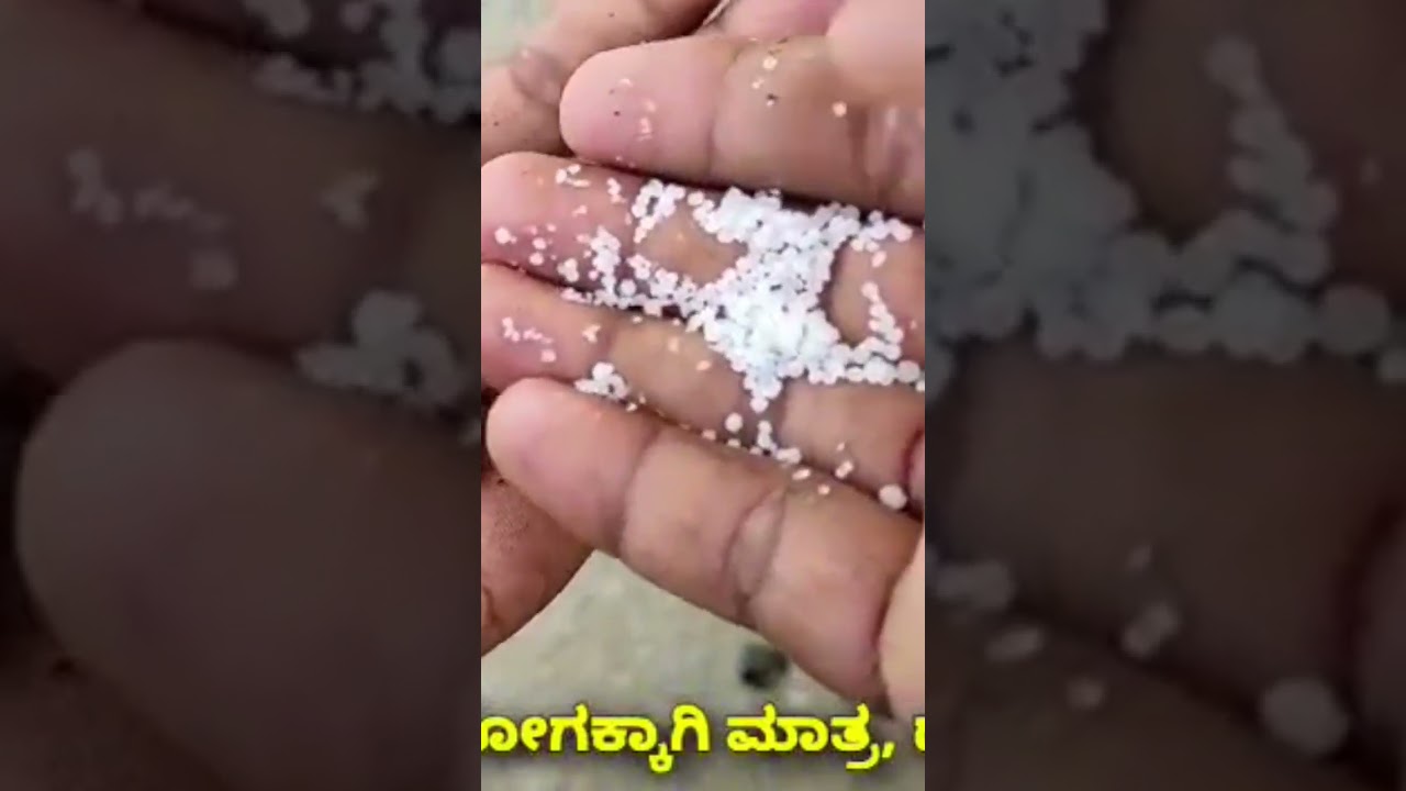 Urea fertilizer kills earthworms
