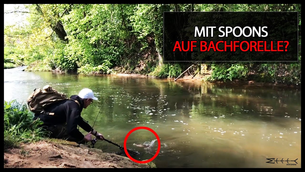 Angeln mit SPOON gezielt auf BACHFORELLE - Beißt die 60+?
