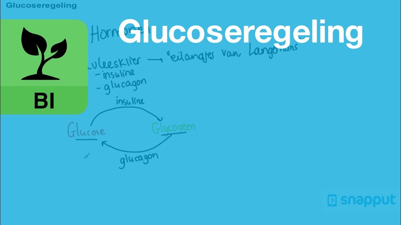 Biologie - Glucoseregeling