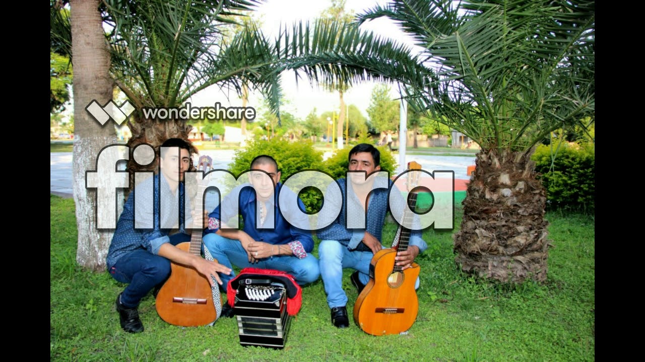 Los Hermanitos Coronel, Solo quiero tu amistad