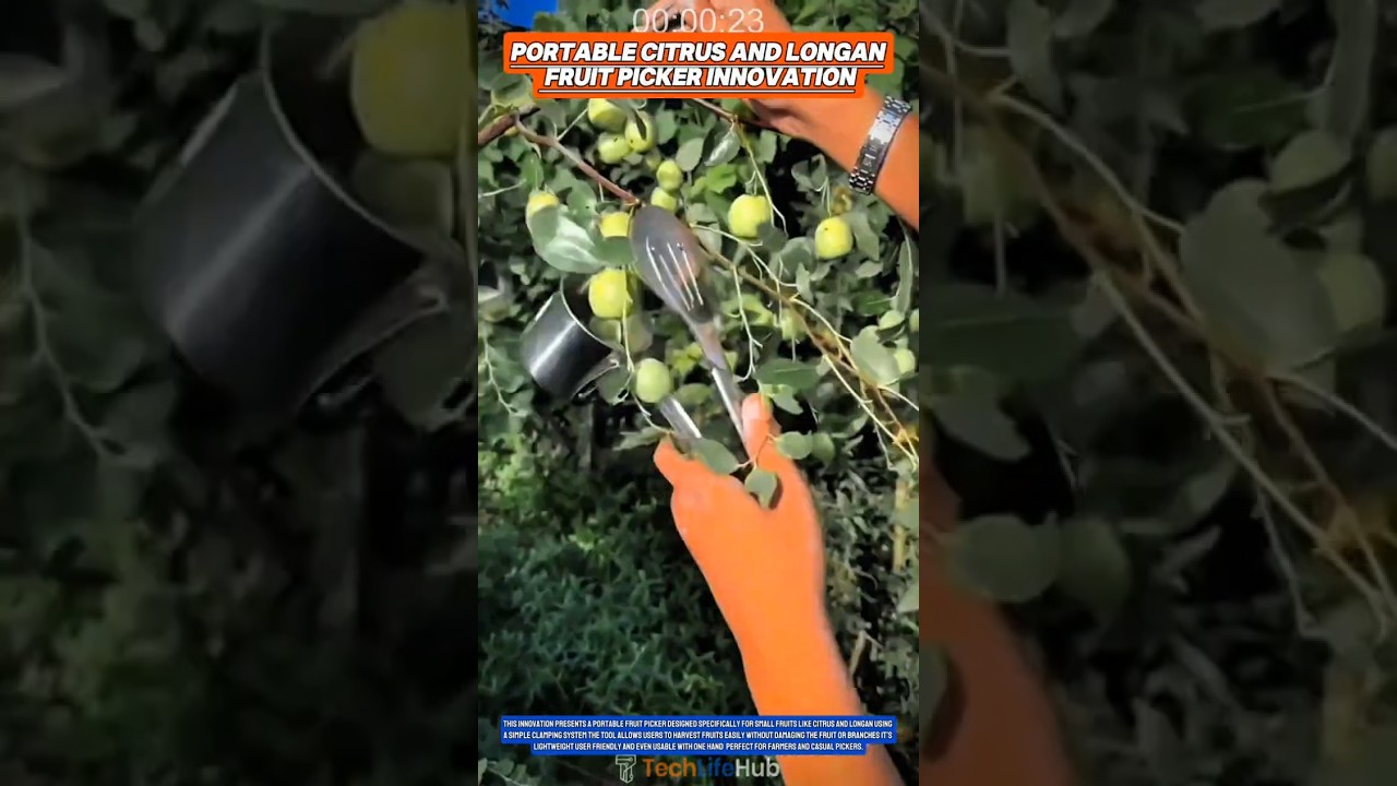 Portable Citrus and Longan Fruit Picker Innovation Practical Tool for Small Fruit Harvesting