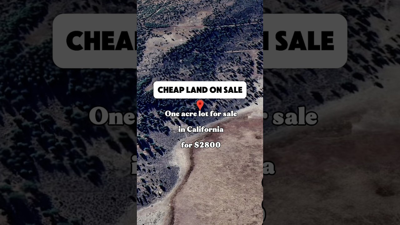 One acre of cheap land  in California for $2800. #california #foryou #land #shorts #property #fyp