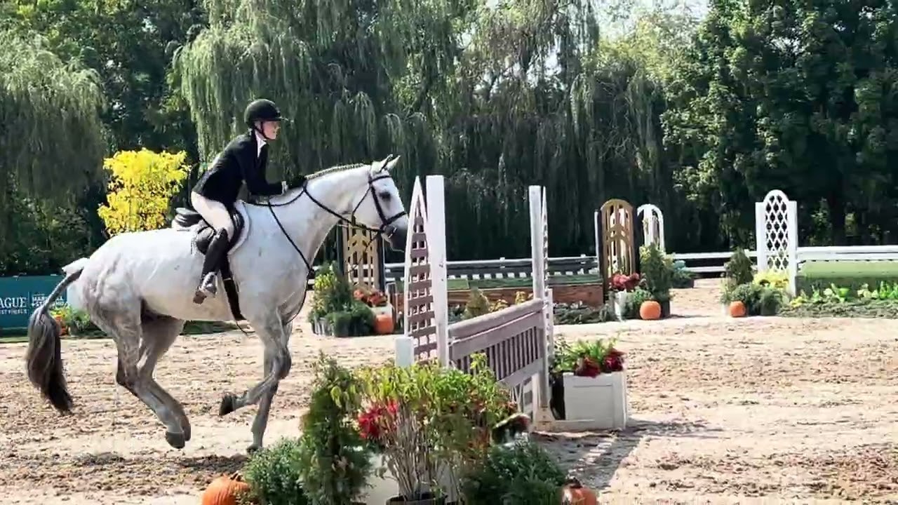 Video 39. Large Junior Hunter, Rio Z - Amelia VanDevender