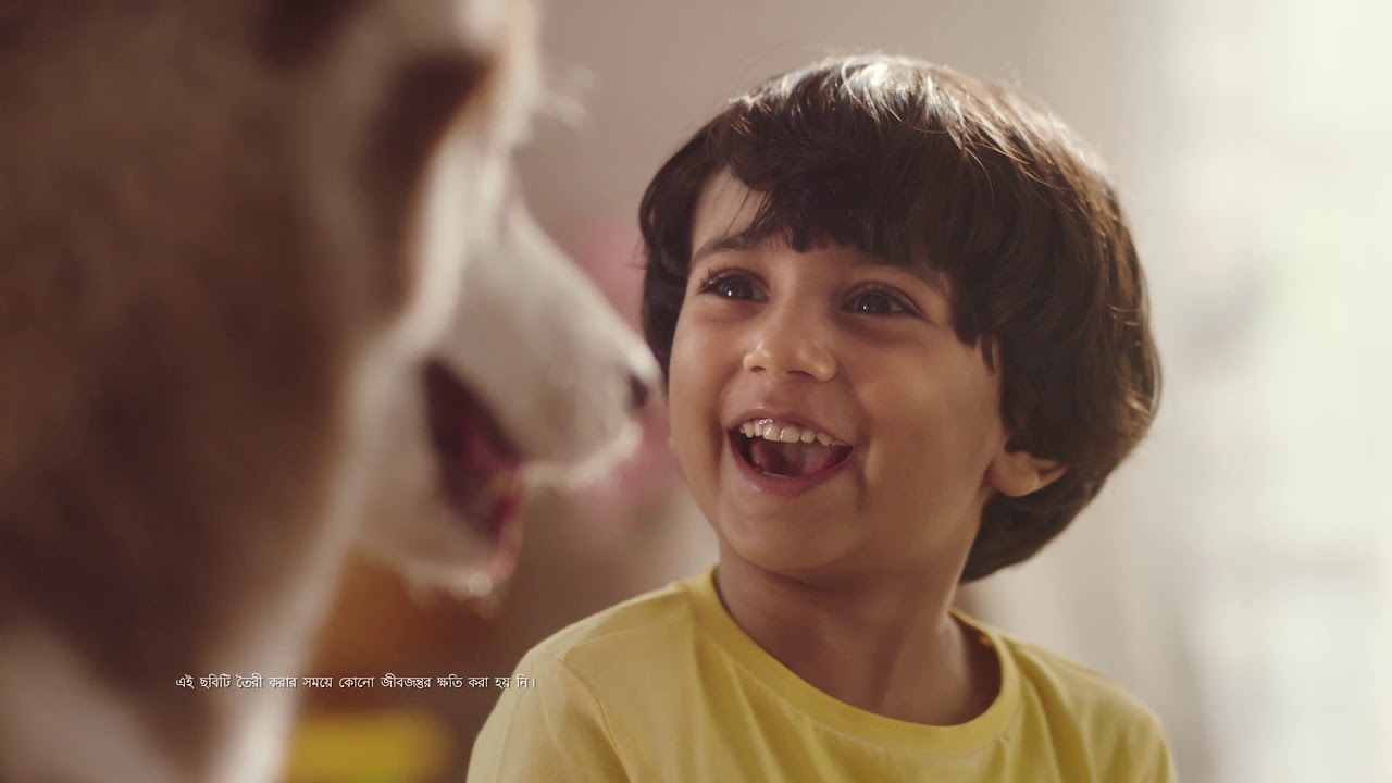 Kellogg&rsquo;s Chocos Boy & Dog X 30 sec Bengali