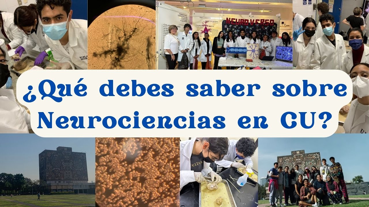 Cosas que debes de saber si te interesa estudiar neurociencias en la UNAM
