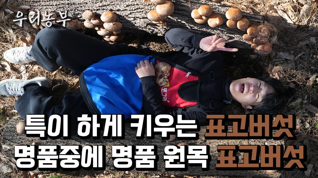 표고버섯│나만의 특별한 방법으로 표고버섯을 키워 품질과 맛에만 신경 쓴 갓속농장│영농후계자│영농2세