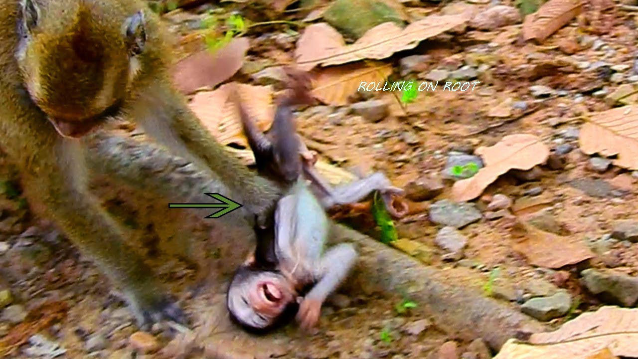 Broken Heart, Dee Dee Dragging Hard, Hit Baby Daniela On Root Of Tree, Cry Hard & Seizures,