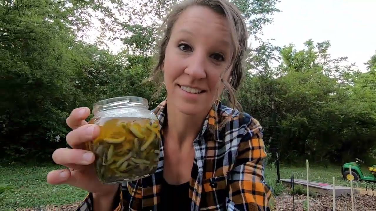 Eliminate Slugs in the Garden (with Sluggo Plus)