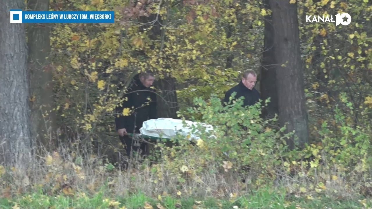 Zwłoki 17-latki na terenie kompleksu leśnego w Lubczy (gm. Więcbork). Prokuratura bada sprawę, 28.10