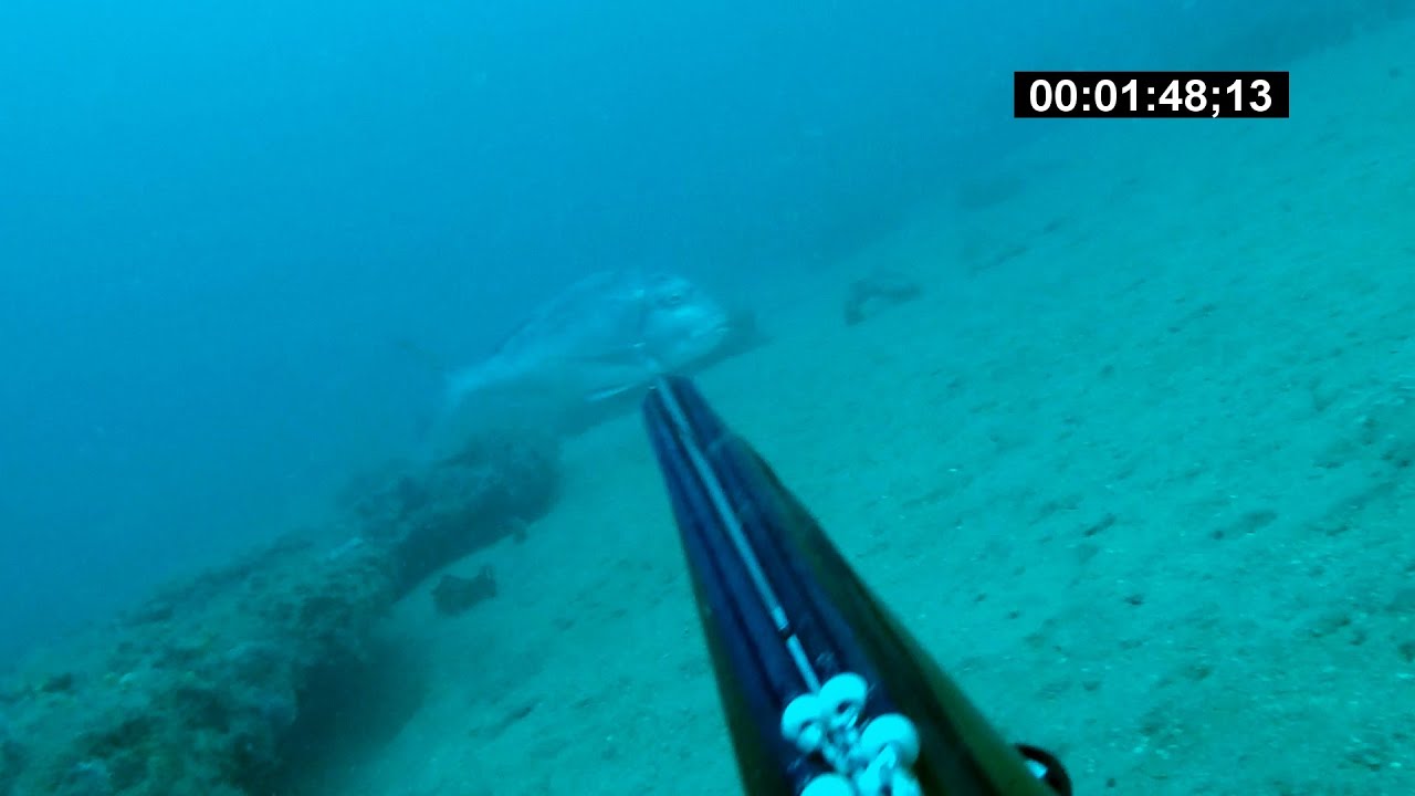 La pesca de la urta de Olivier Simon del equipo Fusiles Orca