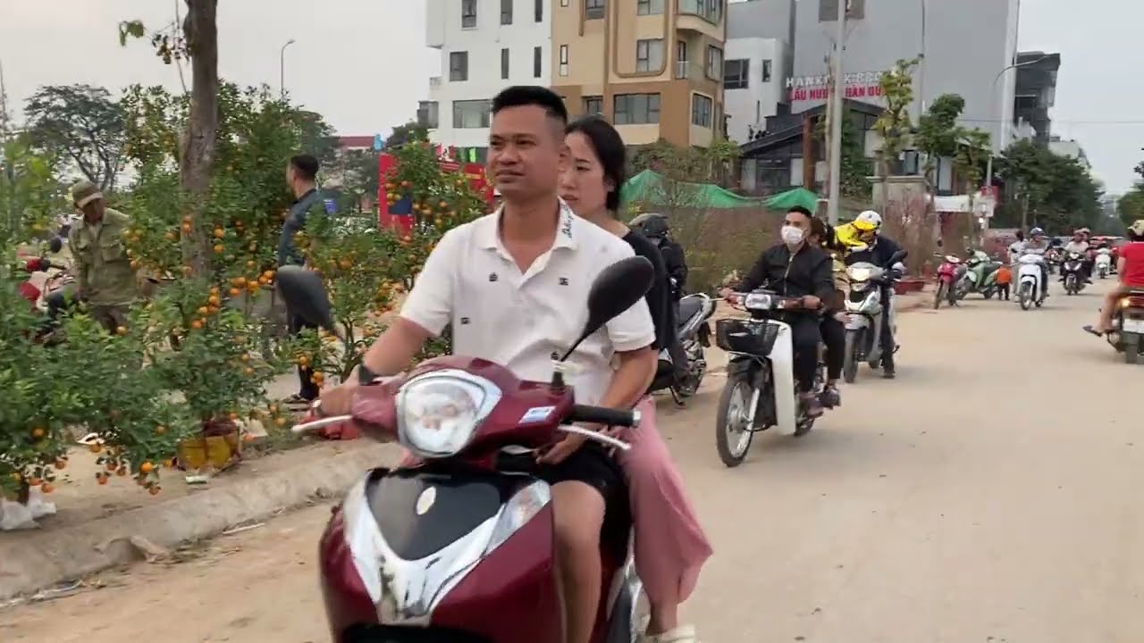 Chợ hoa thị trấn Đông Anh Đào tàn Quất héo ngày 29 Tết 