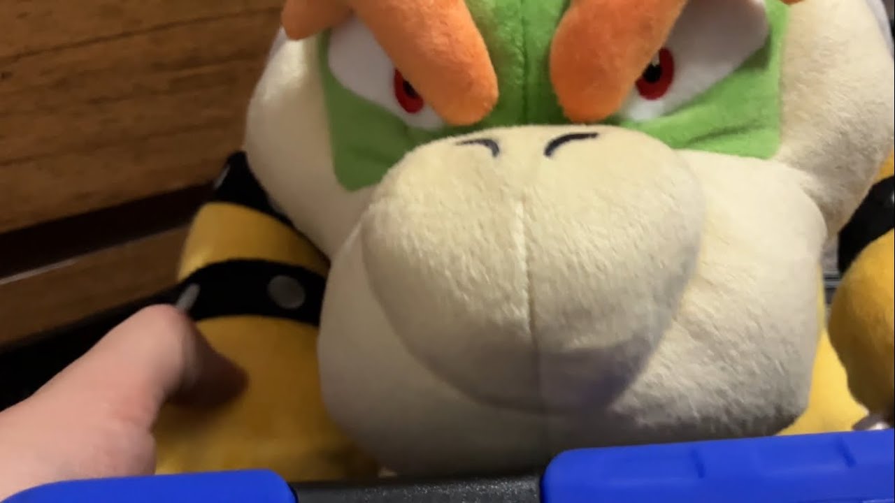 Bowser’s Elixir Collector