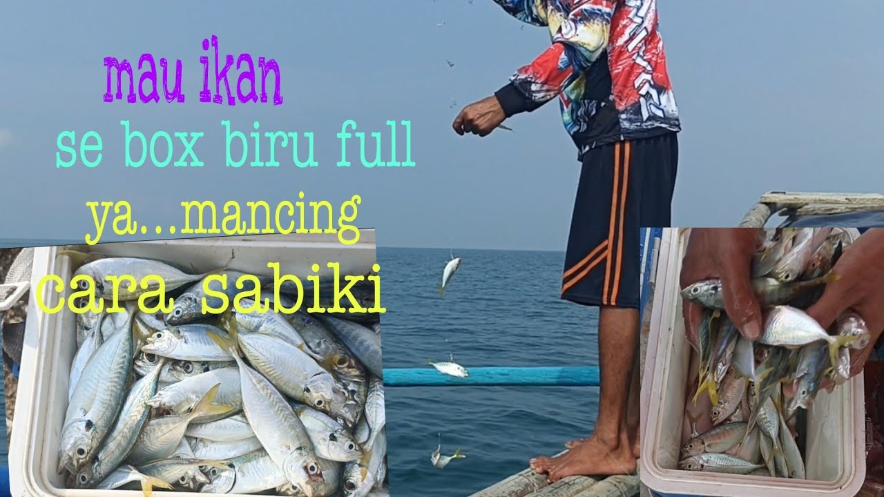 mancing teknik sabiki di laut Tanjung Lesung bikin pegel tangan || narik terus bonus kakap merah
