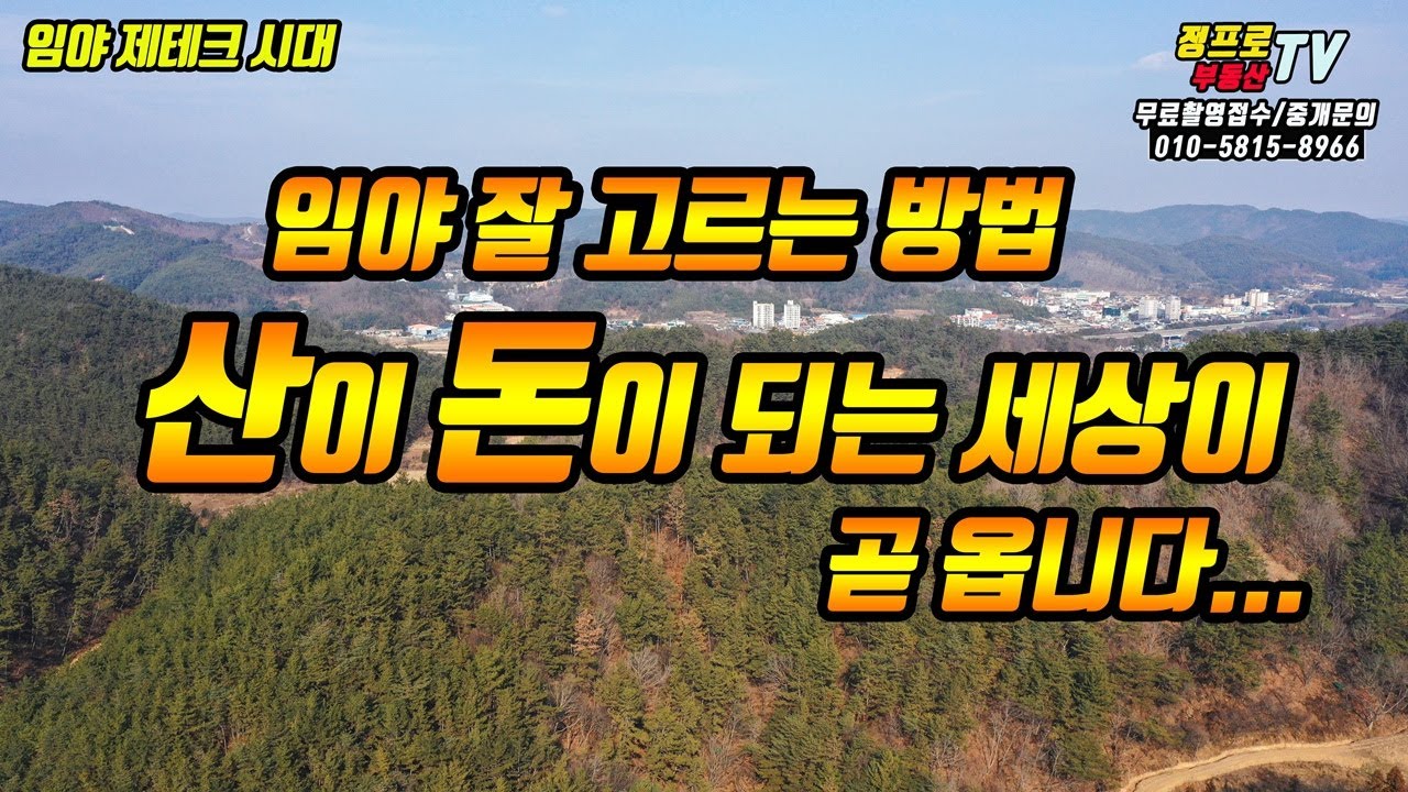 (꿀팁) 임야를 고를 때 알아야 할 상식 임야 개발을 생각하신다면 도움되는 팁  - 부동산재테크 전원주택 펜션 토지 전문 프로공인중개사/건축기사