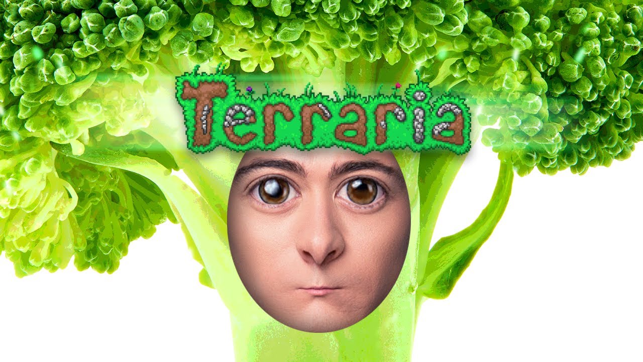 サーバーに変な人が侵入してきた件。 - Terraria