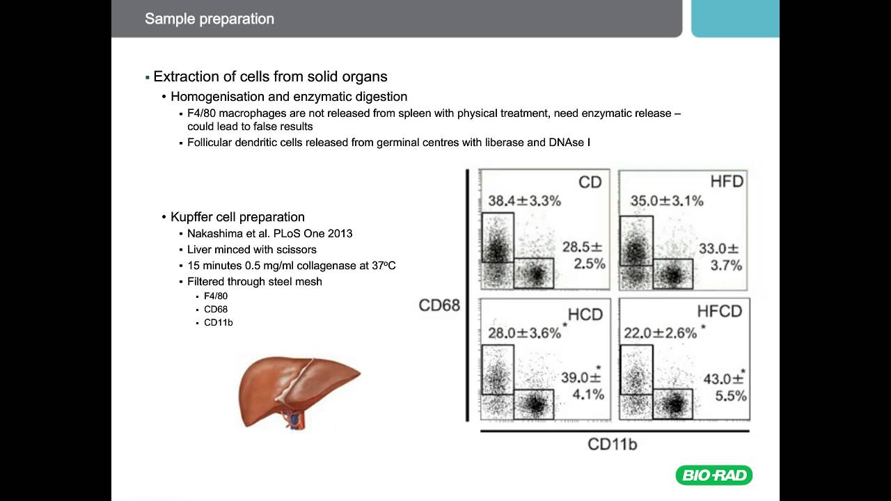 Optimize your Flow Cytometry - Best Practices for Sample Preparation, Staining and Analysis