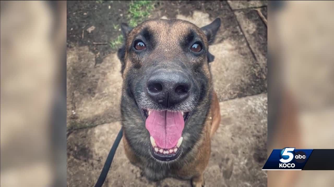 Highly-trained K-9 officer goes missing, found in someone's backyard in Pottawatomie County