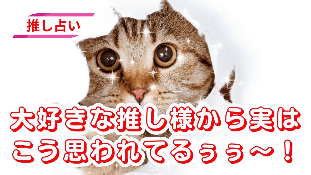 【推し占い】🤭大好きな推し様から実は‼️こう思われてるぅぅ～🥰✨🩷