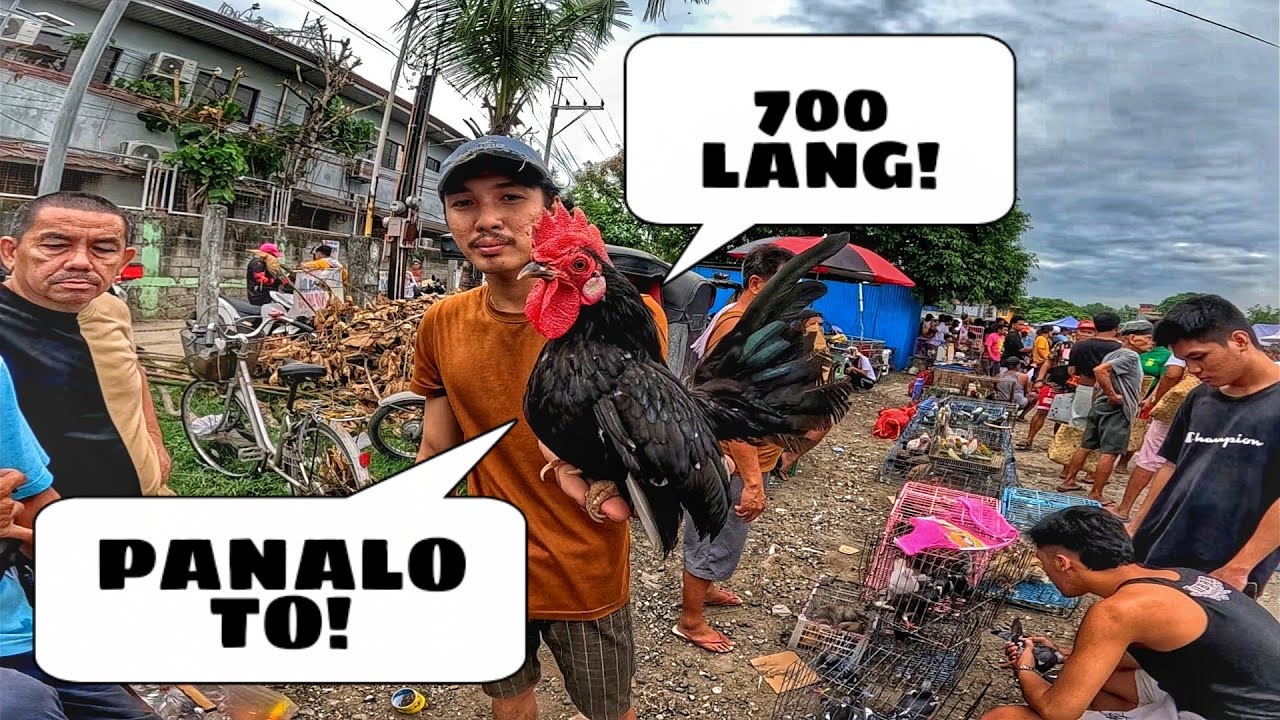 EKSENA SA BOCAUE MAY 30, 2025 | PET TIANGGE