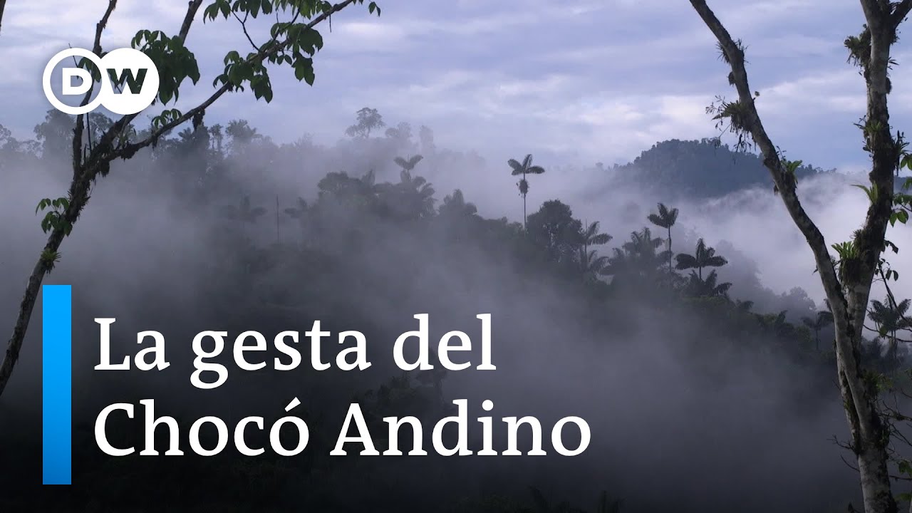 Por la vida, el agua y la naturaleza: Quito sin Minería