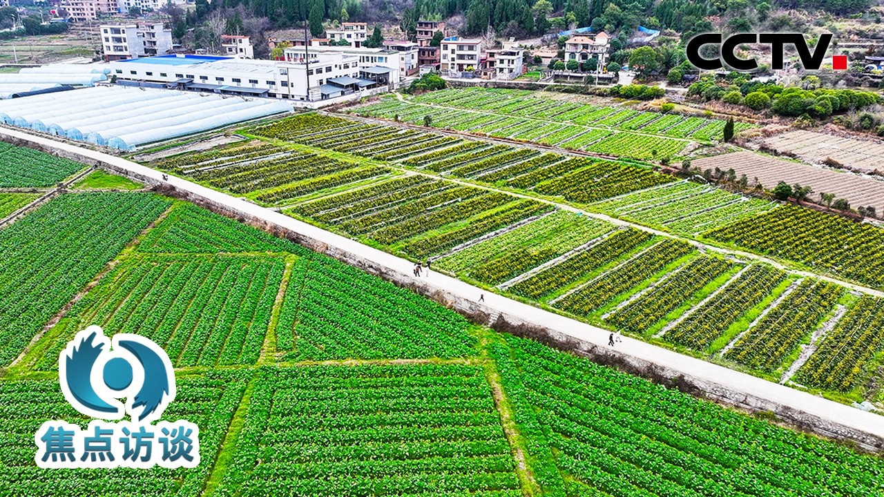 度过医疗费危机、告别危房重建新家……脱贫之后，“一个都不能少”的这五年 | CCTV「焦点访谈」20260225