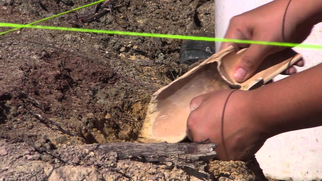 Tools for digging up dinos