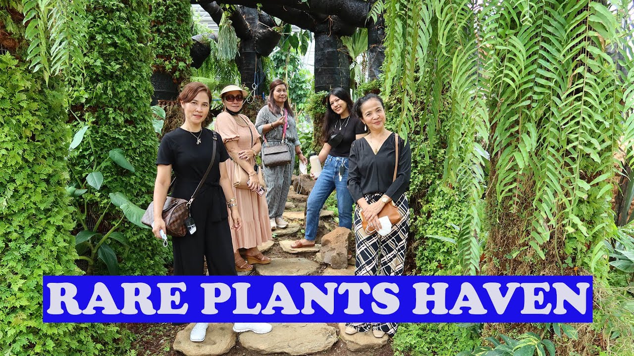 PERFECT PLACE FOR RARE PLANTS COLLECTORS (ARID AND AROIDS)