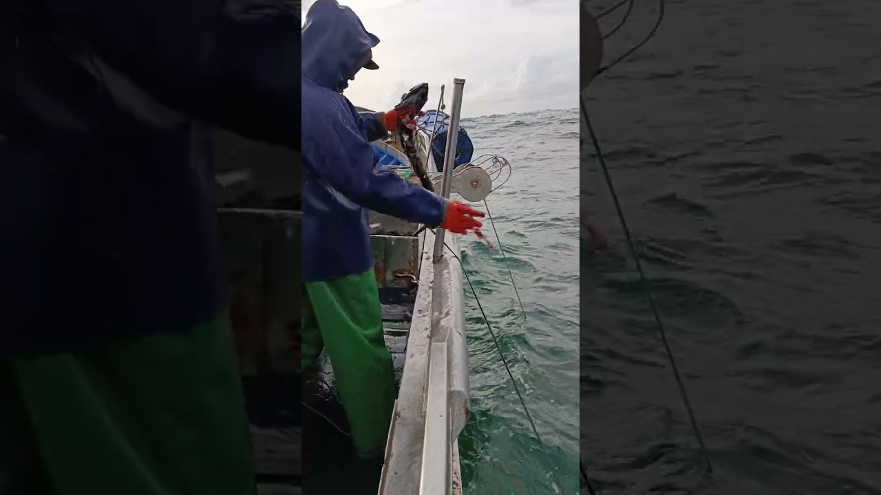 Pescadores De Sesimbra Pesca Do Peixe Espada Preto