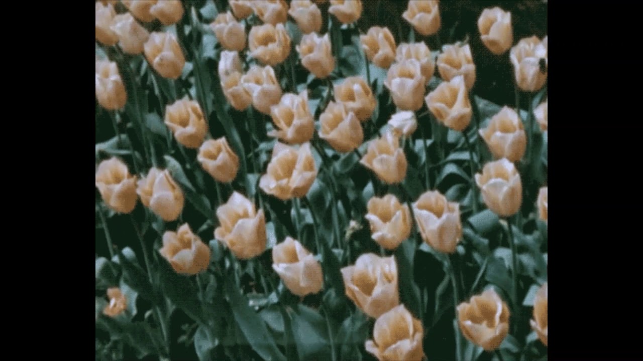 Until Then (Prod. by MBWAV)