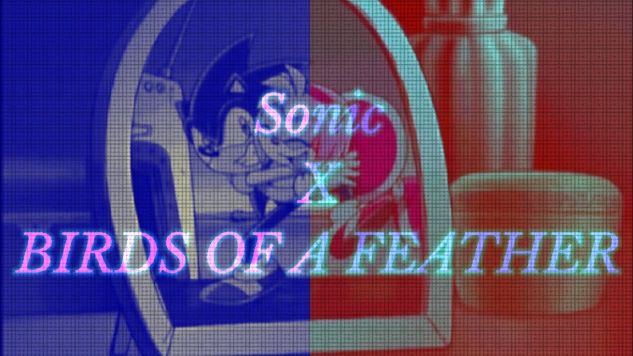 Sonic X BIRDS OF FEATHER | Sonamy AMV