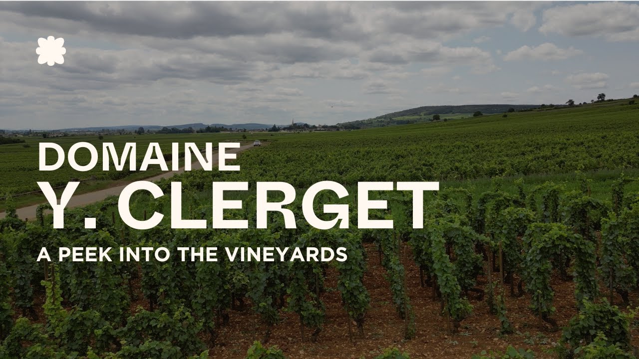 Domaine Y. Clerget Vineyards | Volnay, Burgundy 🇫🇷