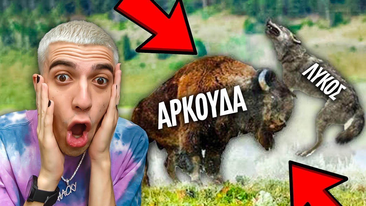 Τα ΠΙΟ ΠΕΡΙΕΡΓΑ ΒΙΝΤΕΟ με ΖΩΑ!