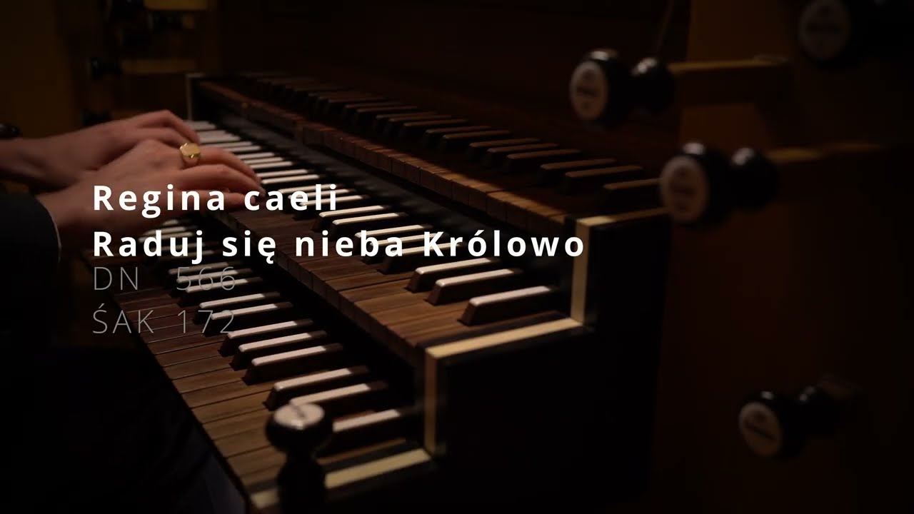 Regina caeli; Raduj się nieba Kr&oacute;lowo WIGILIA PASCHALNA 2026 - [DN 566] [ŚAK 172] -Bryn&oacute;w św Rodzina